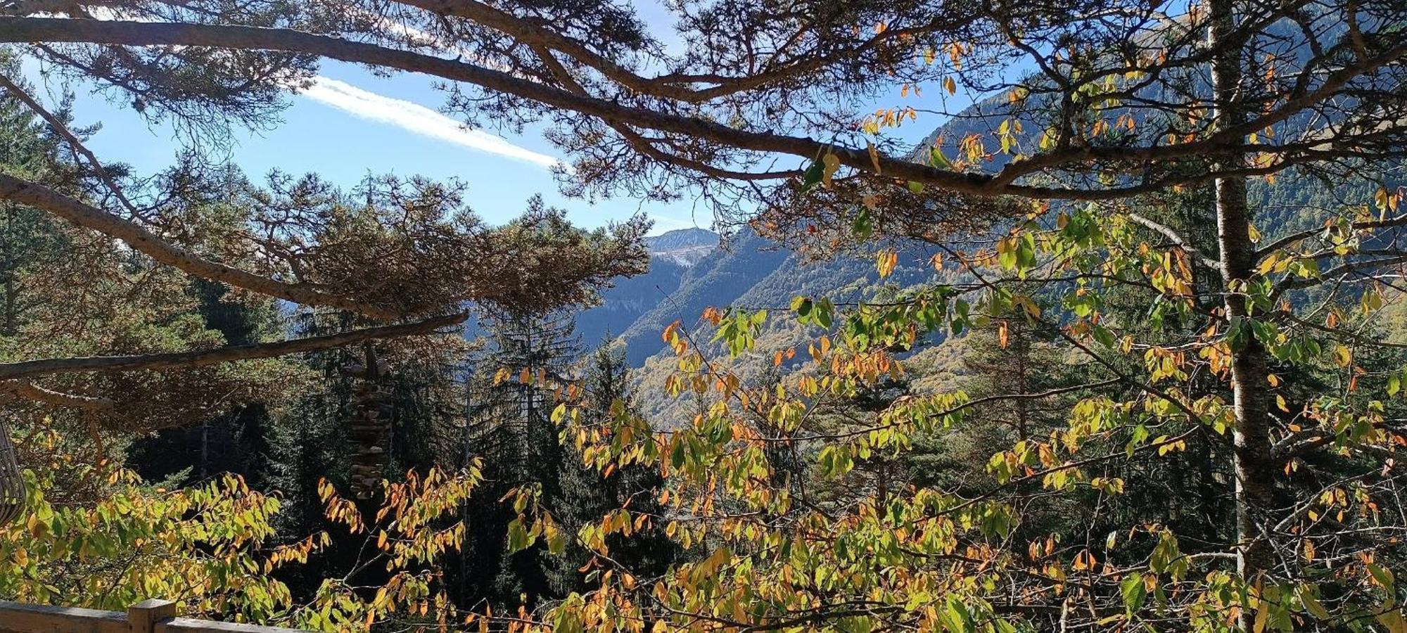 Les Cabanes Des Pins Sylvestres Saint-Martin-Vésubie Εξωτερικό φωτογραφία
